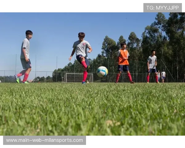 篮球梦让奋斗更加闪耀,篮球梦想让生活更美好500字六年级